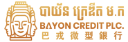 Bayon Credit Plc